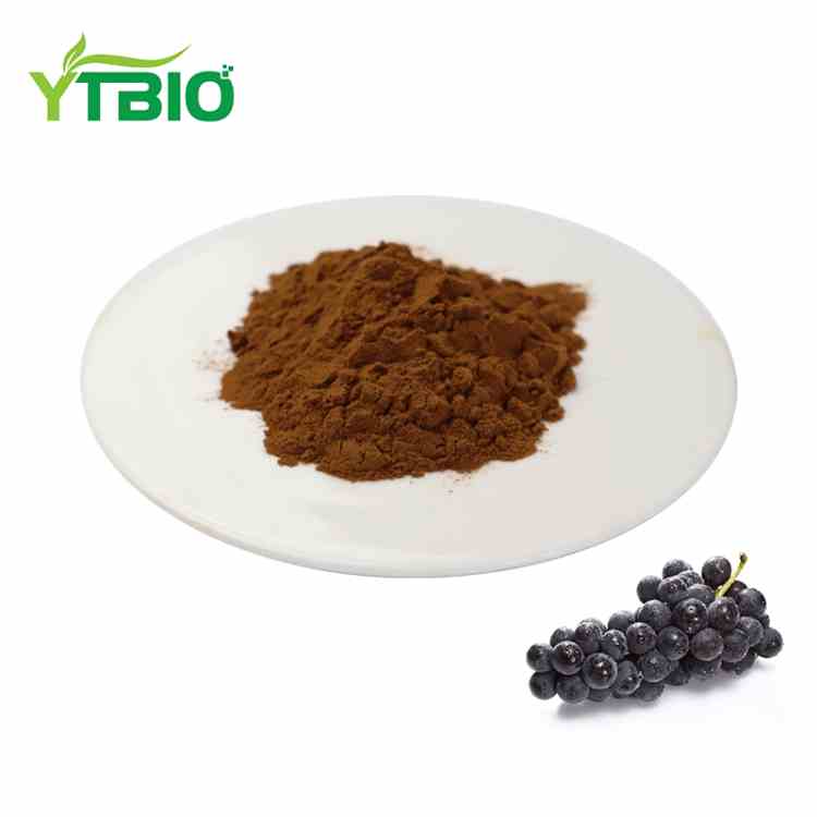 Bulk Grape Extract Powder
